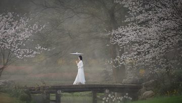 012a365b0b8575a8012181b0db0ca3jpg1280w1l2o100sh-15751289806581135745620