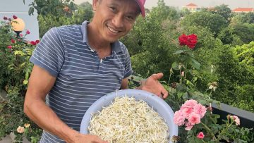 a14-1595987204-9788-1596009214