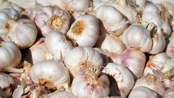 garlic-4963822_640
