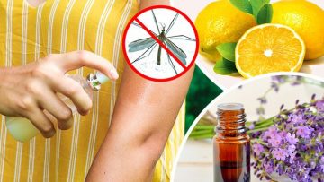 xịt côn trùng 2