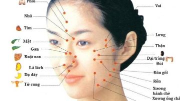 Nguồn ảnh: pinterest