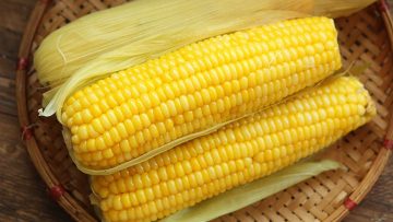 photo-1589971740467-15899717407692000675620