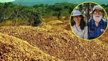 Ý tưởng lạ kỳ giúp khôi phục cánh rừng nhiệt đới với chi phí 0 đồng