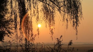 sunrise-2440038_1280