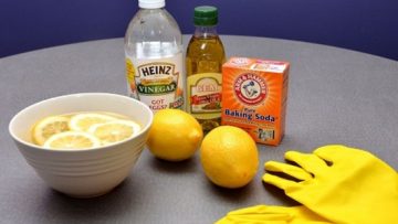 Nguồn ảnh: Internet