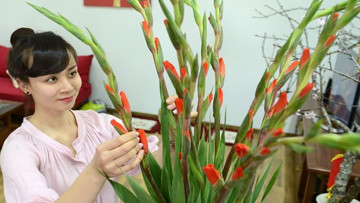 Nguồn ảnh:; Internet