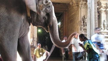 Luân hồi: Cô gái đối thoại với gia đình kiếp trước của mình, Cô đã tái sinh và đã nhìn thấy một thế giới trên trời