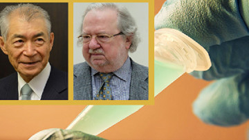 Giải Nobel Y học: Bước đột phá trong điều trị ung thư nhằm đánh thức khả năng miễn dịch của cơ thể để chống lại ung thư