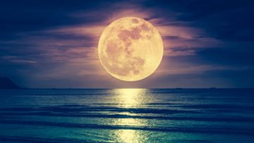 5 Lý do tại sao mặt trăng được suy đoán là một con tàu vũ trụ