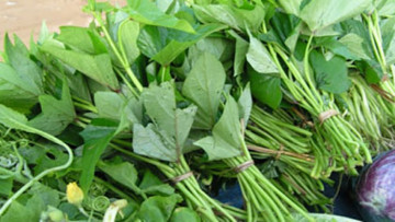 Nguồn ảnh: internet