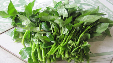 Nguồn ảnh: Internet