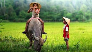 Nguồn ảnh: Internet