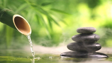 Nguồn ảnh: Internet