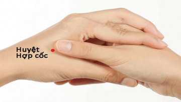 Nguồn ảnh: Internet