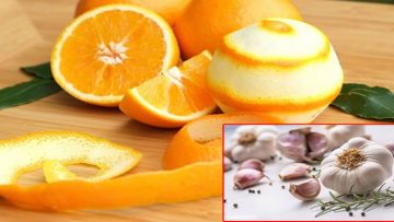 Nguồn ảnh: Internet