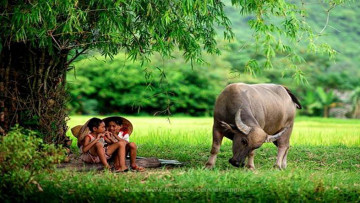 Nguồn Ảnh: Internet