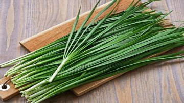 Nguồn ảnh: Internet