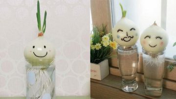 Nguồn ảnh: Internet