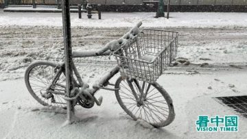 p2870785a181443989-ss