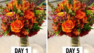 Ảnh được lấy từ Brightside,