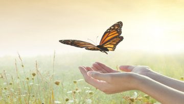 Nguồn ảnh: Internet