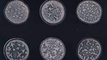 Mick lao vào mô hình thu nhỏ của nước mắt vì mối liên hệ sâu sắc giữa nước mắt và những câu chuyện độc đáo. Bức tranh thể hiện những giọt nước mắt của sáu người khác nhau. (Được phép của Maurice Mikkers)