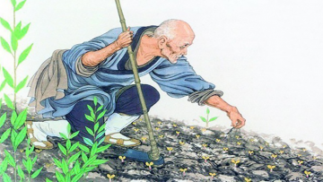 Nguồn ảnh: Internet