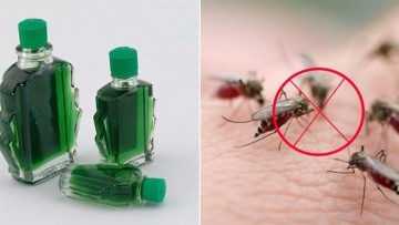 Nguồn ảnh: Internet