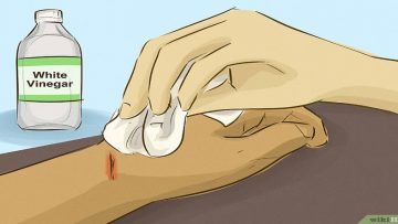 Nguồn ảnh: Internet