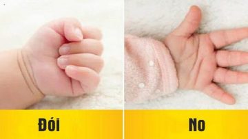 Nguồn ảnh:  Internet