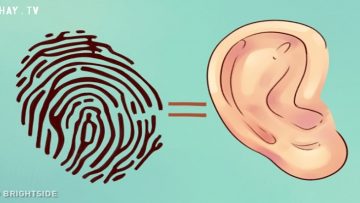 Nguồn ảnh: pinterest