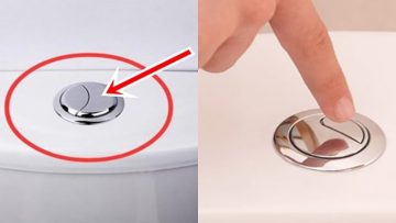 Nguồn ảnh: Internet