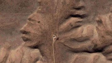 Mối quan hệ siêu thường giữa Thần và những tảng đá mang hình dáng con người