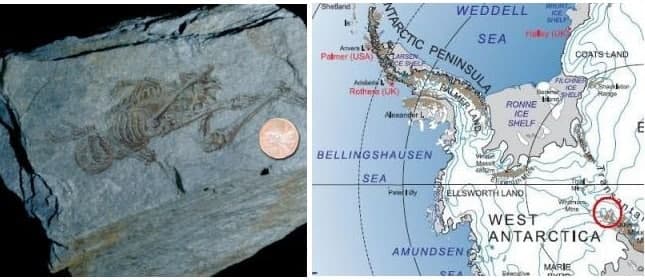 Nơi phát hiện ra bộ xương hóa thạch tí hon ở Nam Cực 