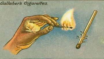 Nguồn ảnh: Internet