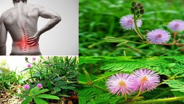 Nguồn ảnh: Internet