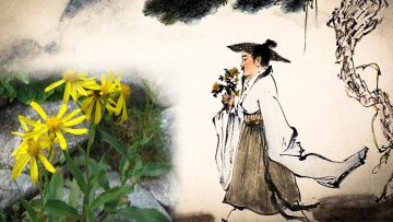 Trao hạnh phúc cho người khác, bạn sẽ có ngay hạnh phúc của mình