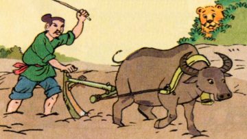 trí khôn của ta đây