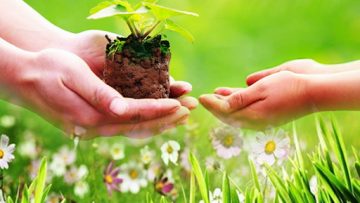 Muốn có biển hoa đẹp, bạn phải chia sẻ hạt giống cho người khác