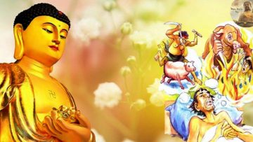 Sát sinh vô cớ không phải là hành vi của người lương thiện