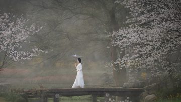 Nhân sinh không có vé khứ hồi, biết bao nhiêu người thua bởi chỉ một chữ “đợi” trong cuộc đời