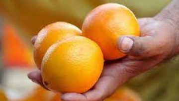 Lòng tốt của ông chủ bán cam khiến kẻ sát nhân buông dao