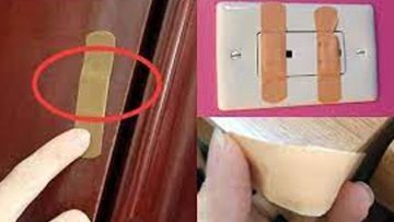 Nguồn ảnh: internet