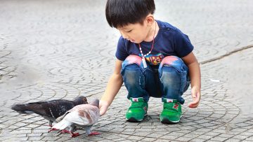 đi tìm hạnh phúc