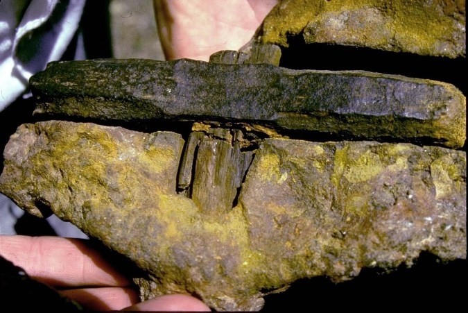 Một chiếc búa được bọc trong lớp đá có niên đại hơn 100 triệu năm