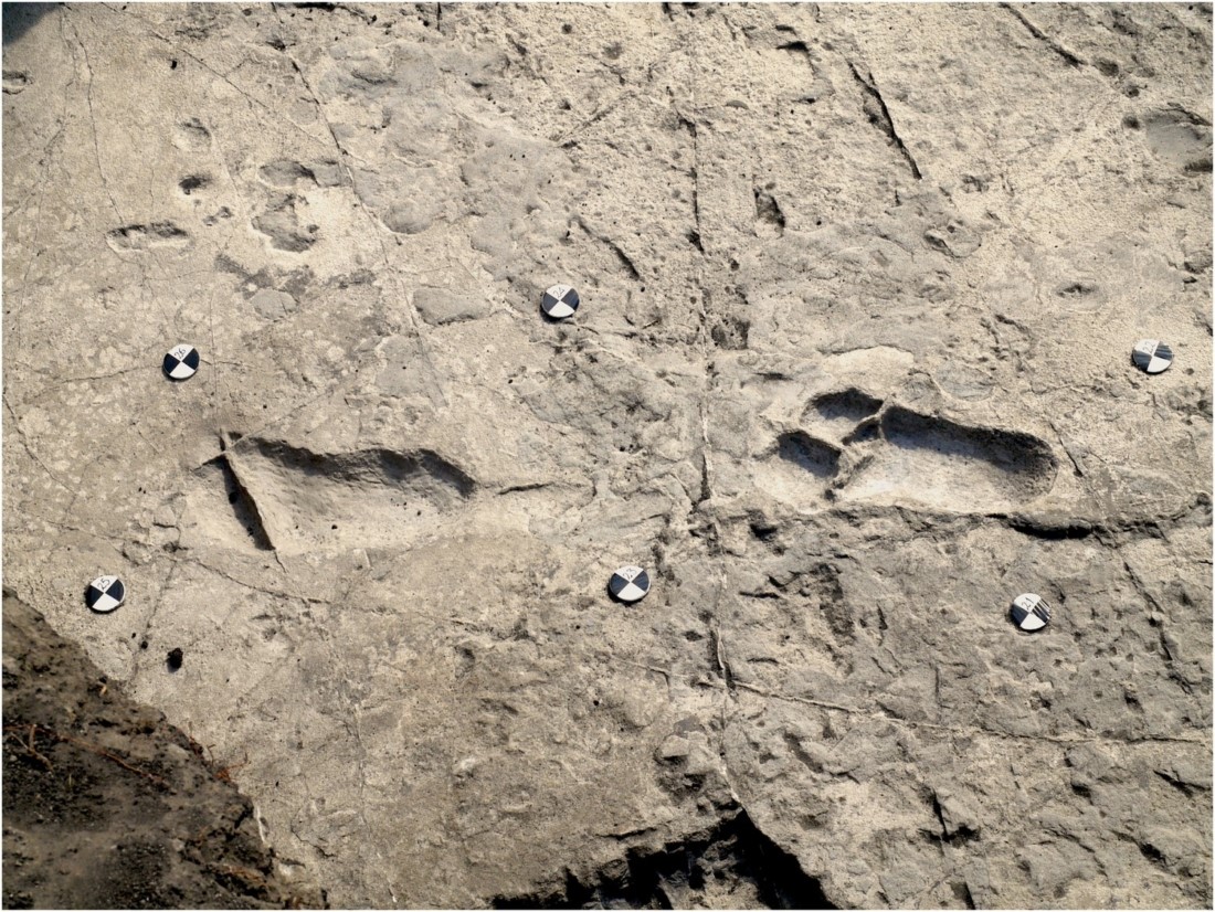 dấu chân 3,6 triệu năm 