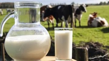 Ảnh đai diện. Nguồn ảnh: Internet