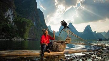 Nguồn ảnh: Internet