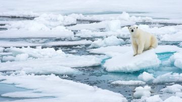 Nơi lạnh nhất không phải là Bắc cực mà là nơi không có tình thương