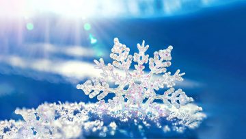 Nước cũng có linh tính